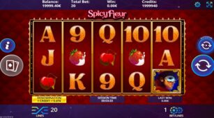 Spicy Fleur demo play free 3