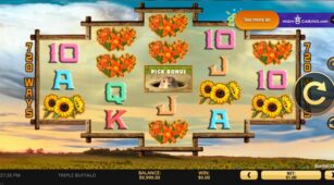 Triple Buffalo demo play free 1