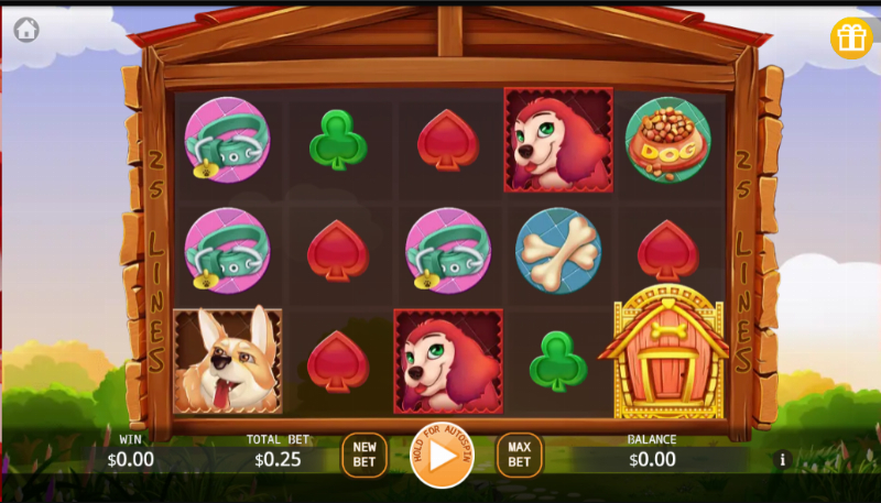 Won Won Rich