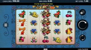 Lucky Gamblink demo play free 1