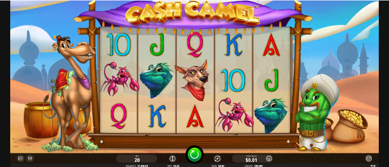 Cash Camel