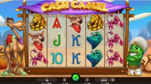 Cash Camel demo play free 0