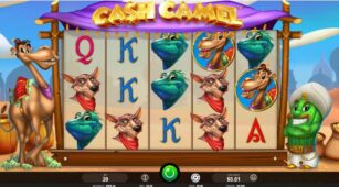 Cash Camel demo play free 3