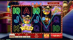 Cat In Vegas demo play free 2