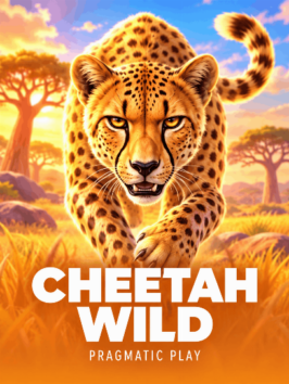 Cheetah Wild