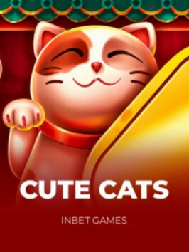 Cute Cats