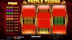 Triple Tigers demo play free 0