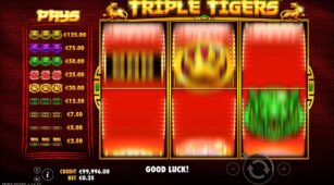 Triple Tigers demo play free 1