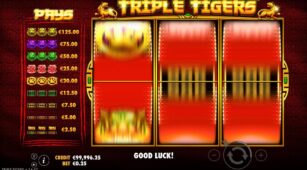 Triple Tigers demo play free 2