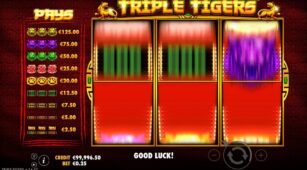 Triple Tigers demo play free 3