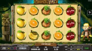 Tropical Hot demo play free 0