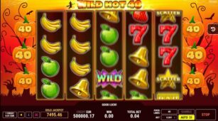 Wild Hot 40 Halloween demo play free 0