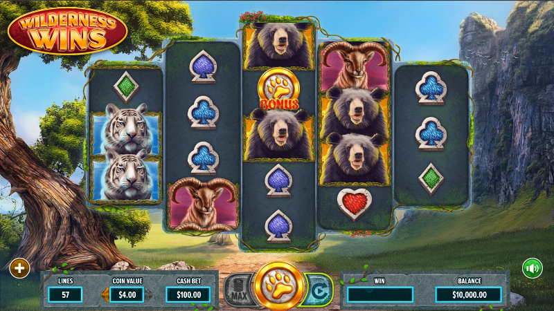 Wilderness Wins