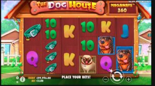 The Dog House demo play free 5