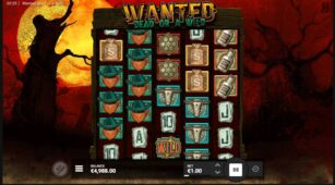 Wanted Dead or a Wild demo play free 5