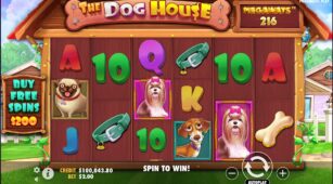 The Dog House Megaways demo play free 4