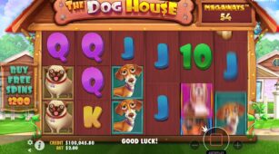 The Dog House Megaways demo play free 5