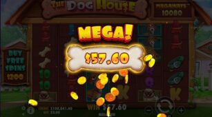 The Dog House Megaways demo play free 6