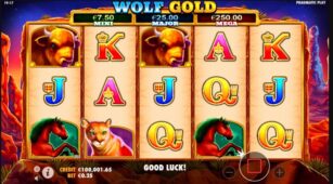 Wolf Gold demo play free 5