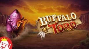 Buffalo Toro max win video 2