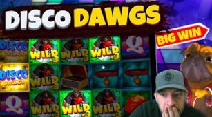 Disco Dawgs max win video 0