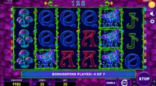 Beauty Fairy demo play free 2