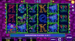 Beauty Fairy demo play free 3