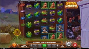 Animal Madness demo play free 0