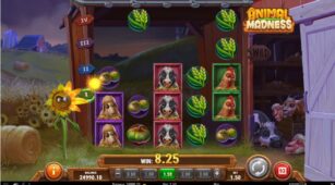 Animal Madness demo play free 2