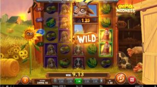 Animal Madness demo play free 3