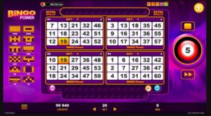 Bingo Power demo play free 1