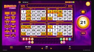 Bingo Power demo play free 2