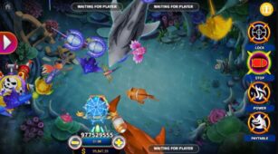 Shark Fight demo play free 2