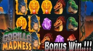 Gorilla Madness max win video 1