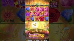 Butterfly Blossom max win video 1