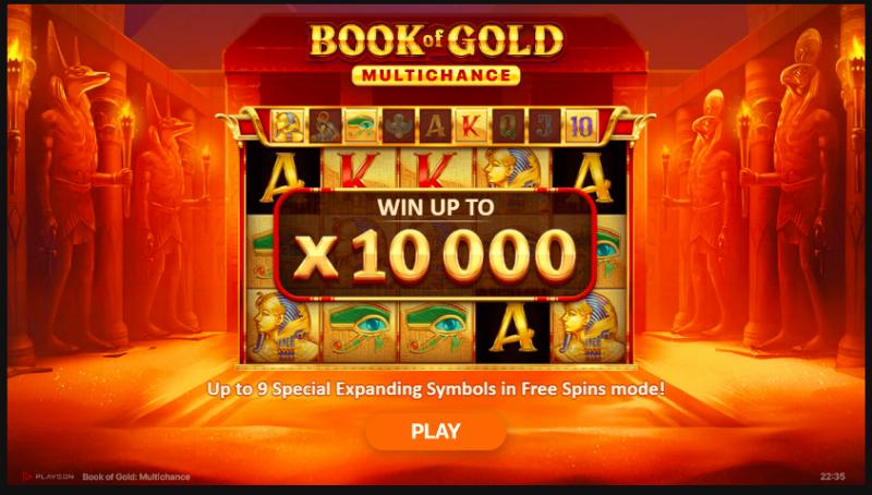 Book Of Gold Multichance