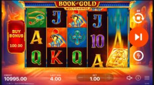 Book Of Gold Multichance demo play free 1