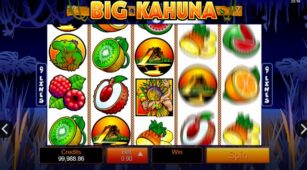 Big Kahuna demo play free 0