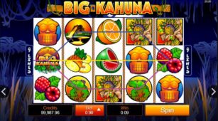 Big Kahuna demo play free 2