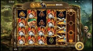 Primate King max win video 1
