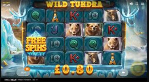 Wild Tundra demo play free 3