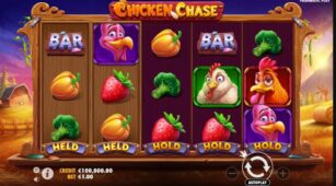 Chicken Chase demo play free 1