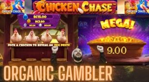 Chicken Chase max win video 1