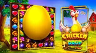 Chicken Drop max win video 0
