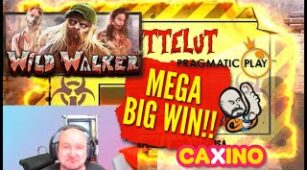 Wild Walker max win video 1