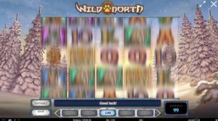 Wild North (Play’n Go) demo play free 0