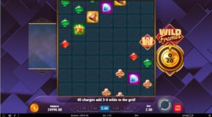 Wild Frames demo play free 2