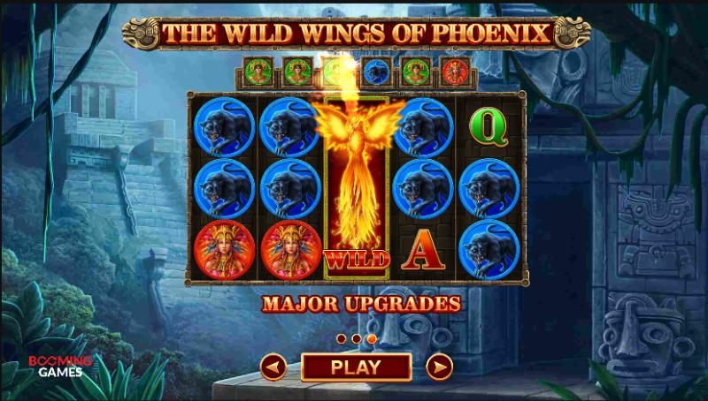 Wild Wings Of Phoenix