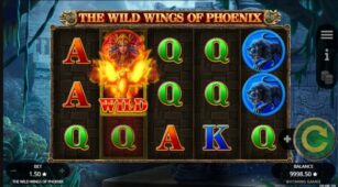 Wild Wings Of Phoenix demo play free 0