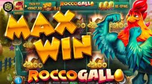 Rocco Gallo max win video 1